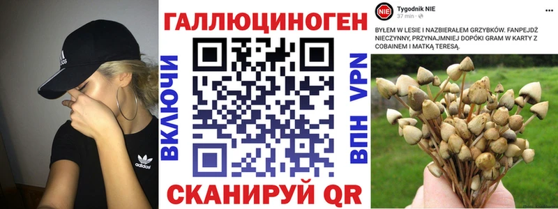 гидра рабочий сайт  Котлас  Галлюциногенные грибы Psilocybine cubensis 