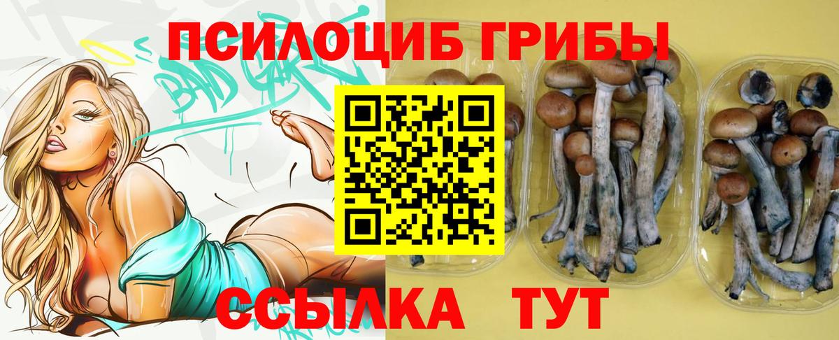Псилоцибиновые грибы Psilocybe  Вход с VPN  Галлюциногенные грибы MAGIC MUSHROOMS  Котлас 
