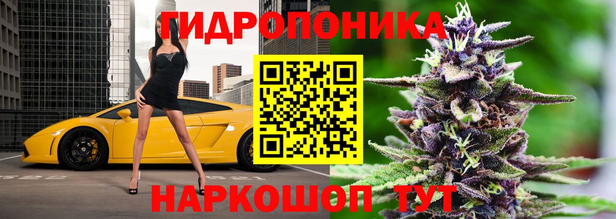 Бошки Шишки OG Kush Котлас